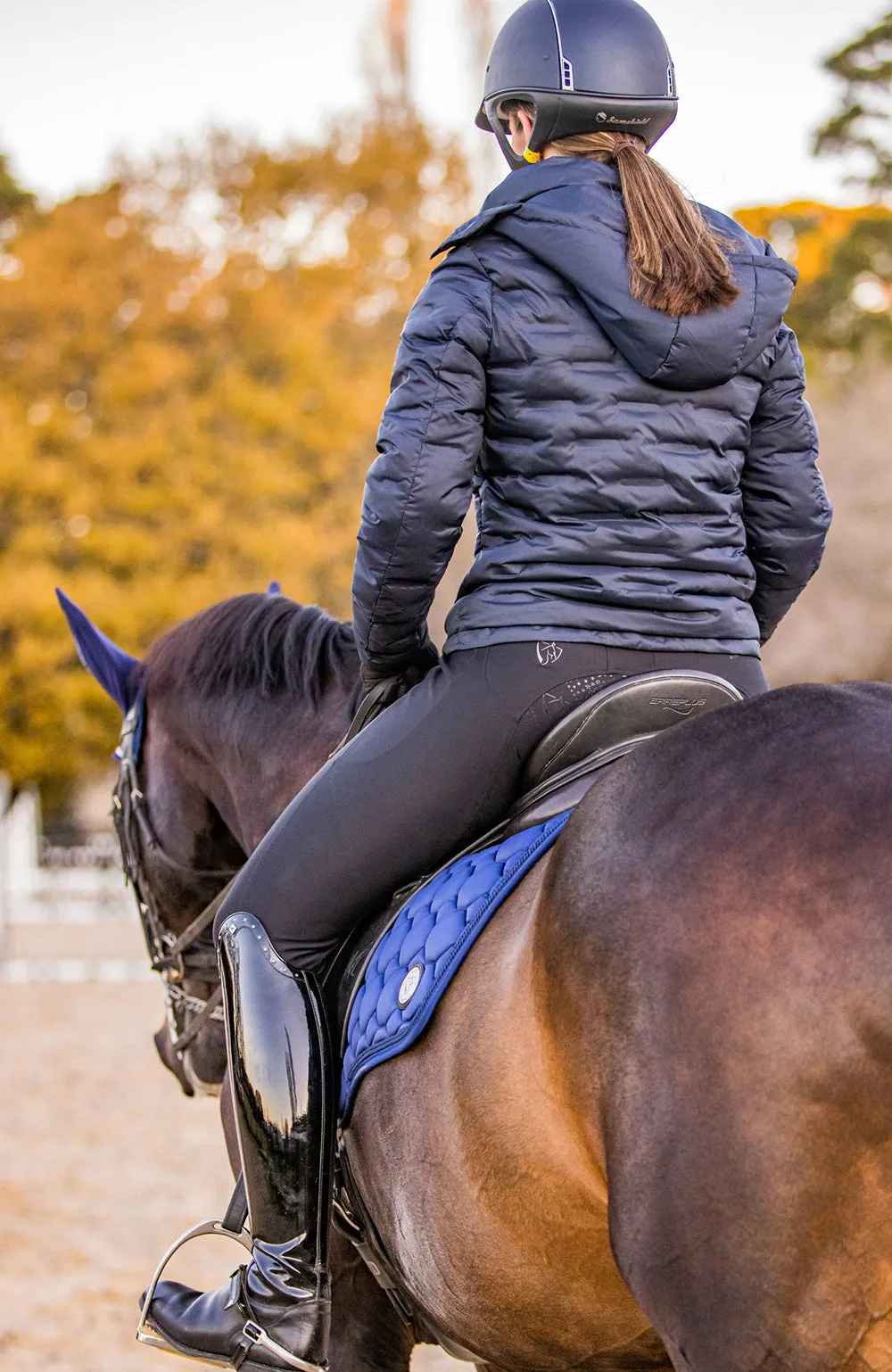 BARE Signature Breeches - Black