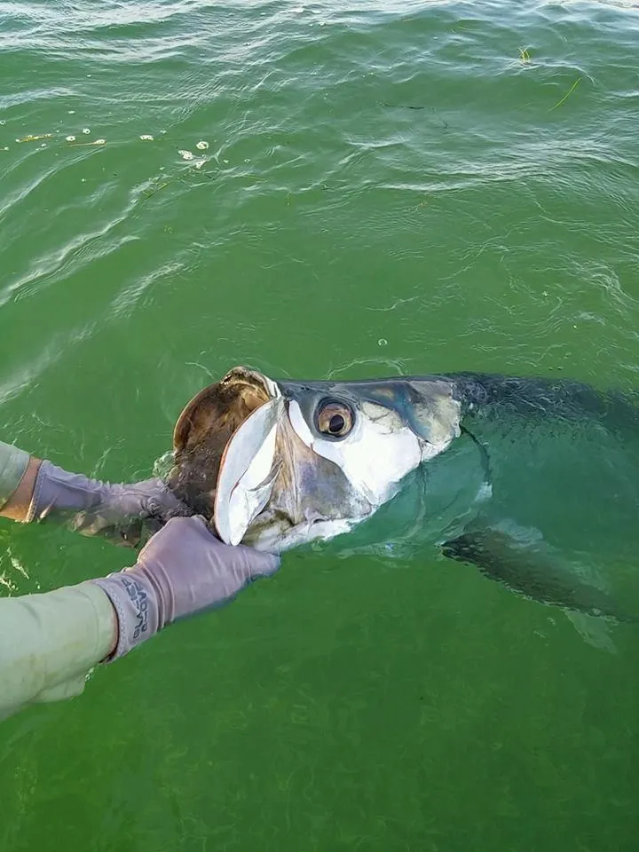 Glacier Glove Abaco Bay Sun Glove