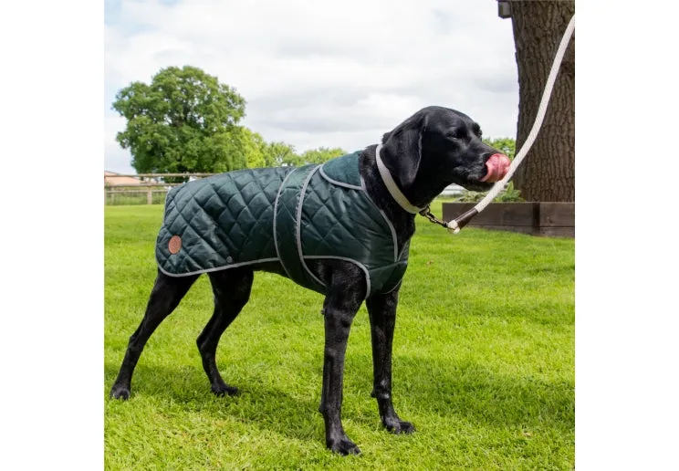 Heritage Quilted Dog Coat Green