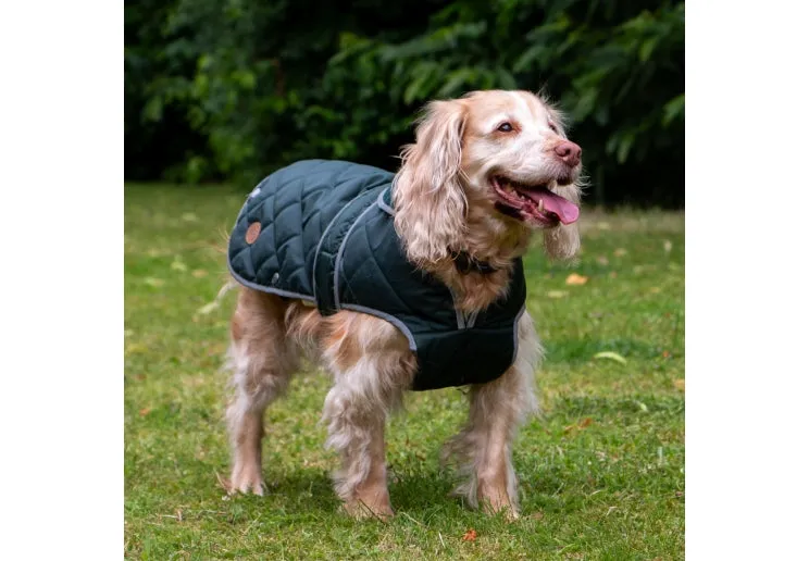 Heritage Quilted Dog Coat Green