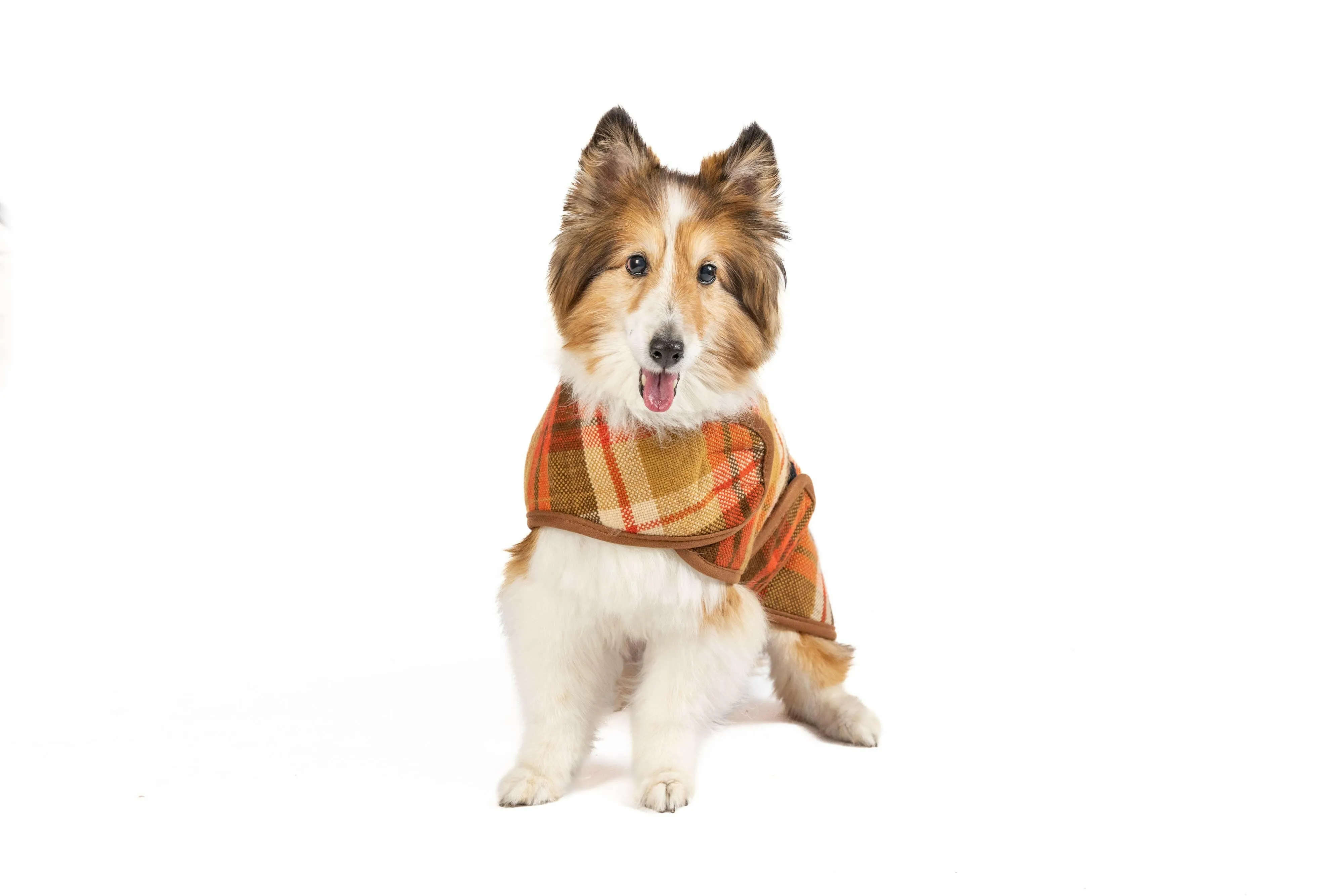 Rust Plaid Dog Blanket Coat