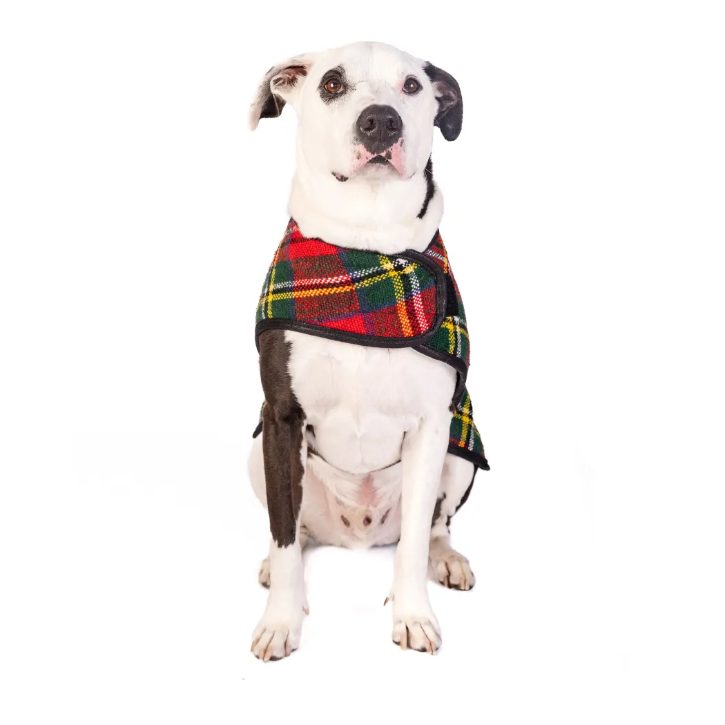 Scotty Plaid Dog Blanket Coat