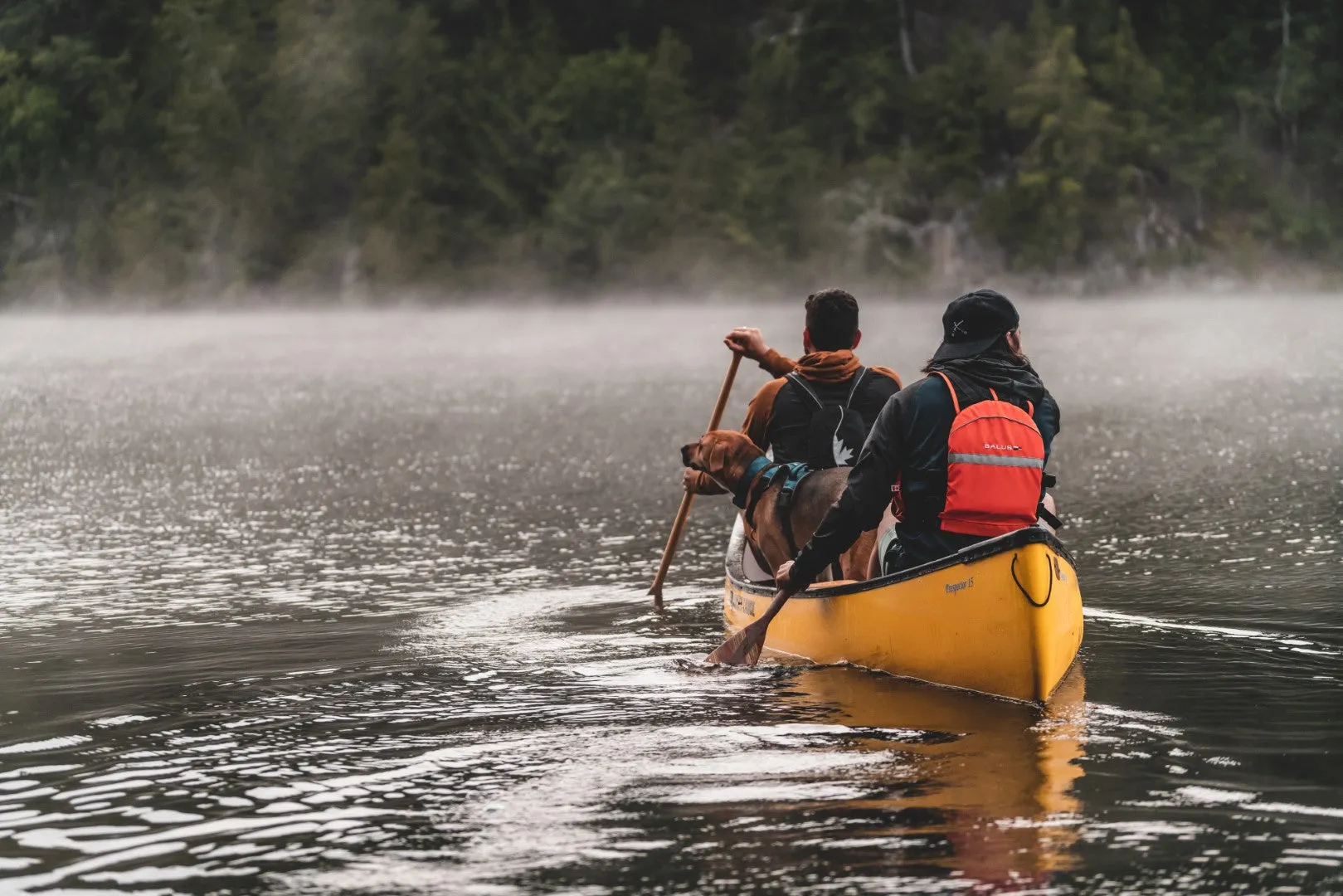 Solo PFD