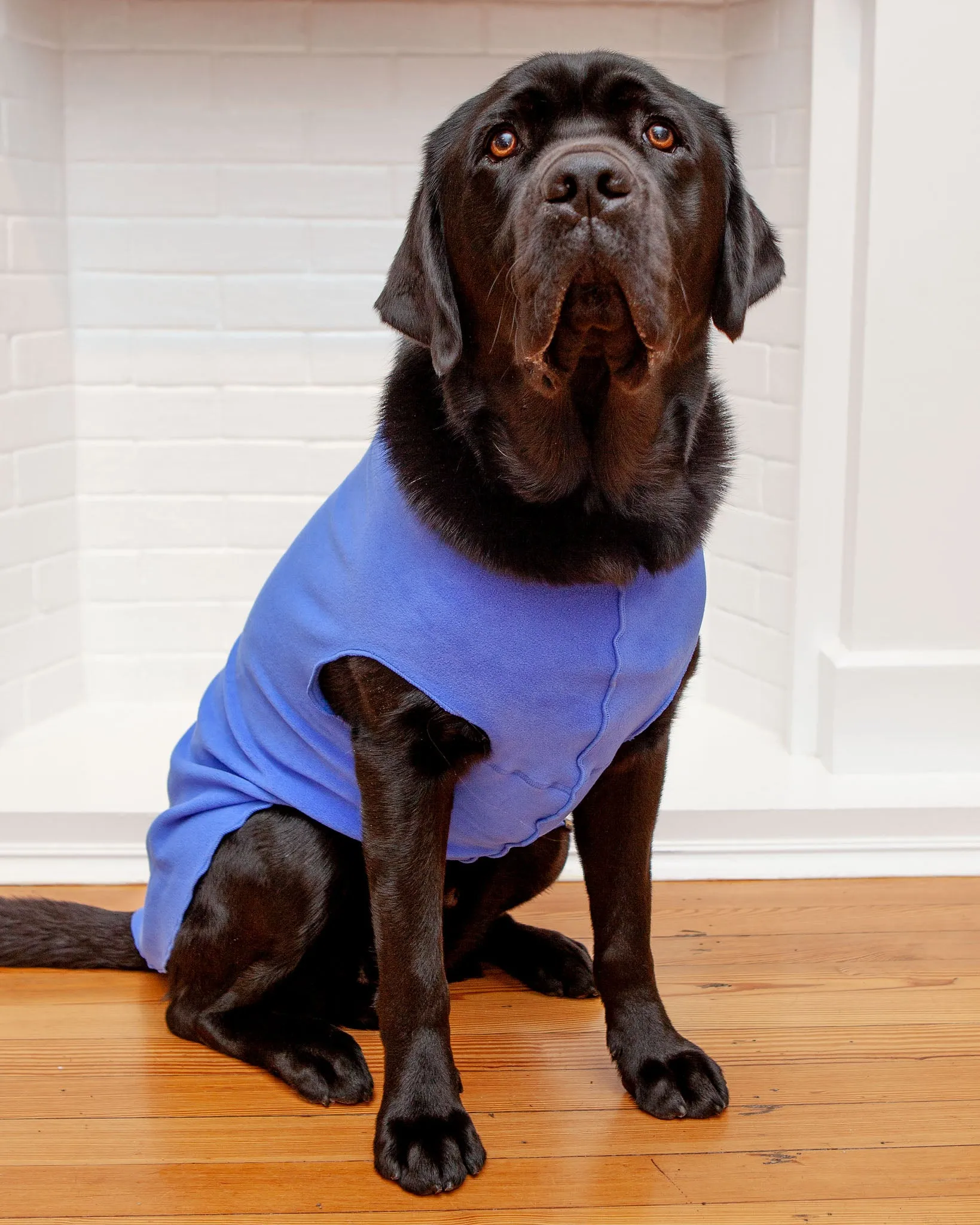 Stretch Fleece Pullover in Cornflower Blue