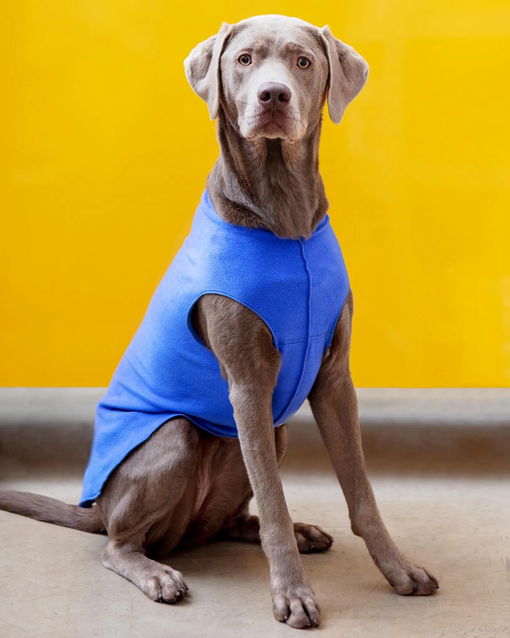 Stretch Fleece Pullover in Cornflower Blue