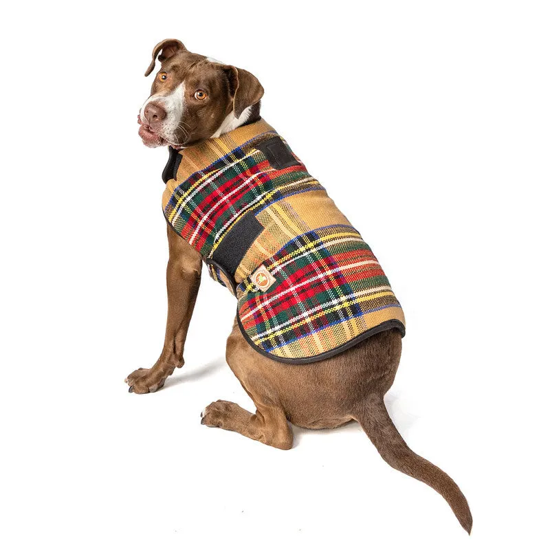 Tan Tartan Blanket Dog Coat