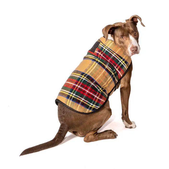 Tan Tartan Blanket Dog Coat