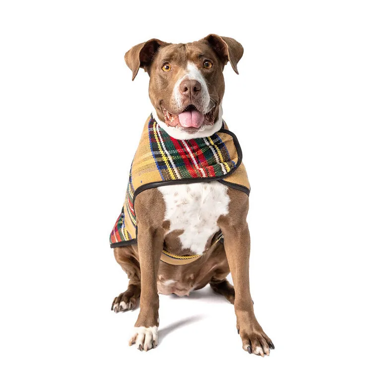 Tan Tartan Blanket Dog Coat