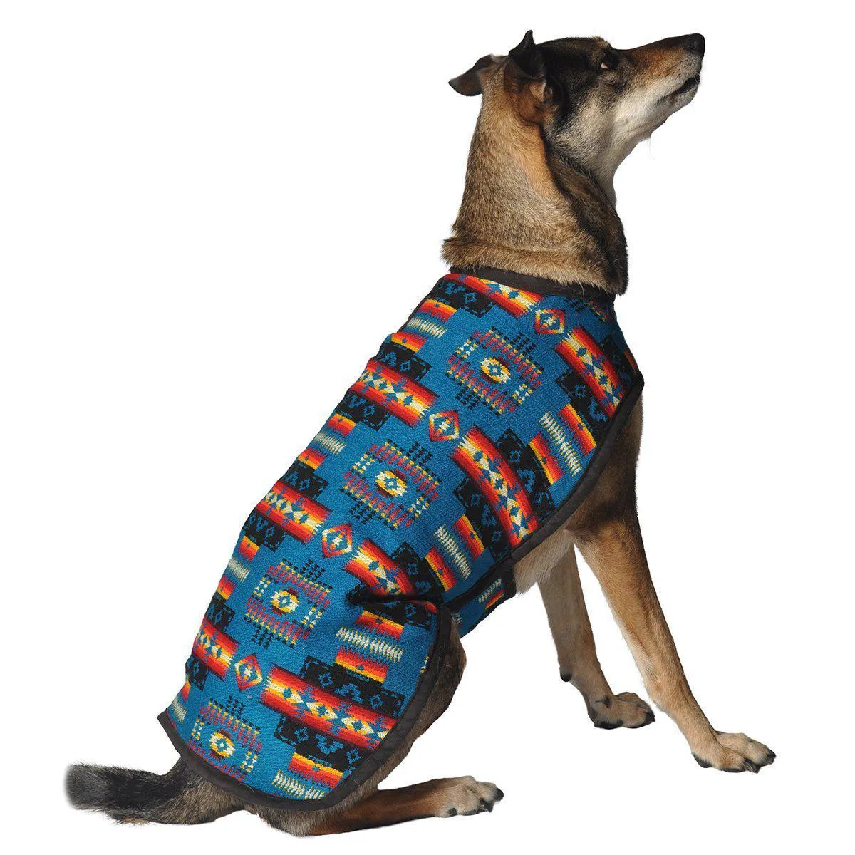 Turquoise Southwest Blanket Dog Coat